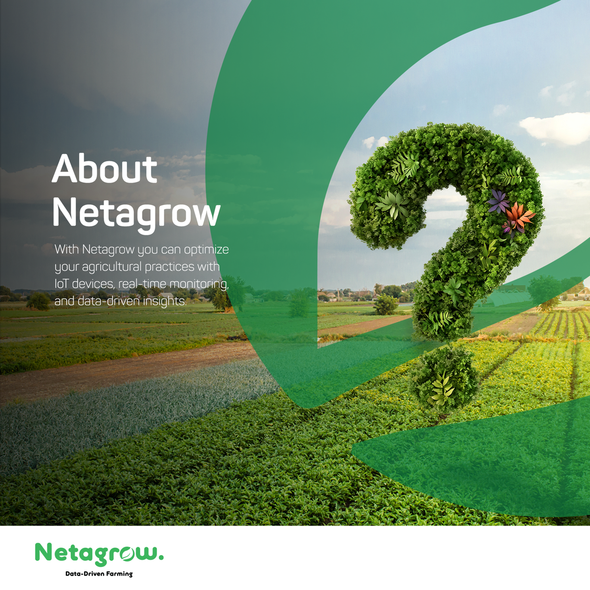 About Netagrow
