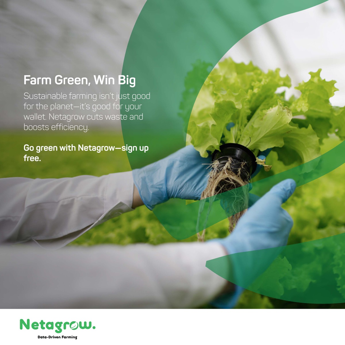 Farm Green, Win Big