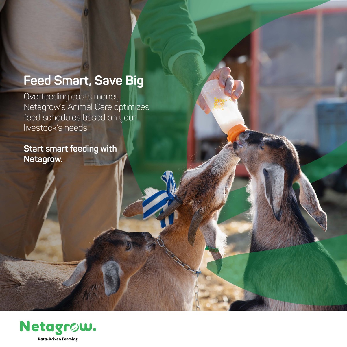 Feed Smart, Save Big