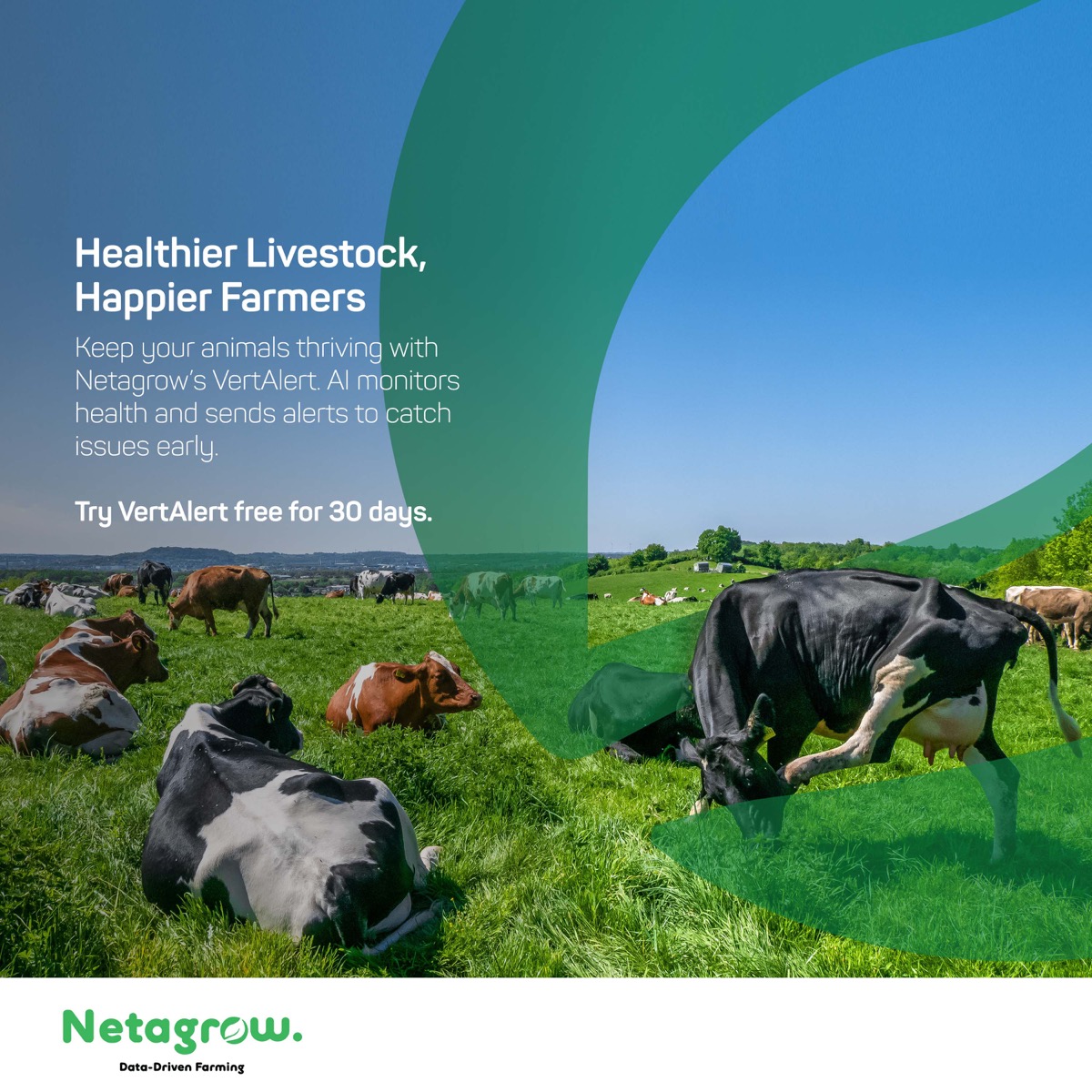 Healthier Livestock — October