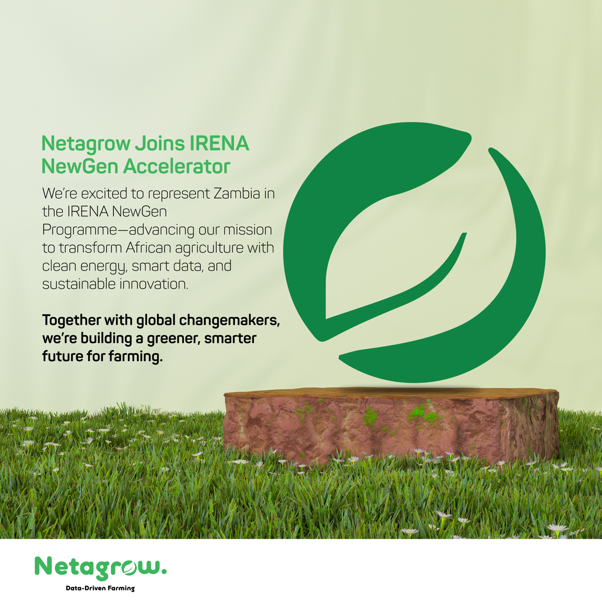 Netagrow Joins IRENA NewGen
