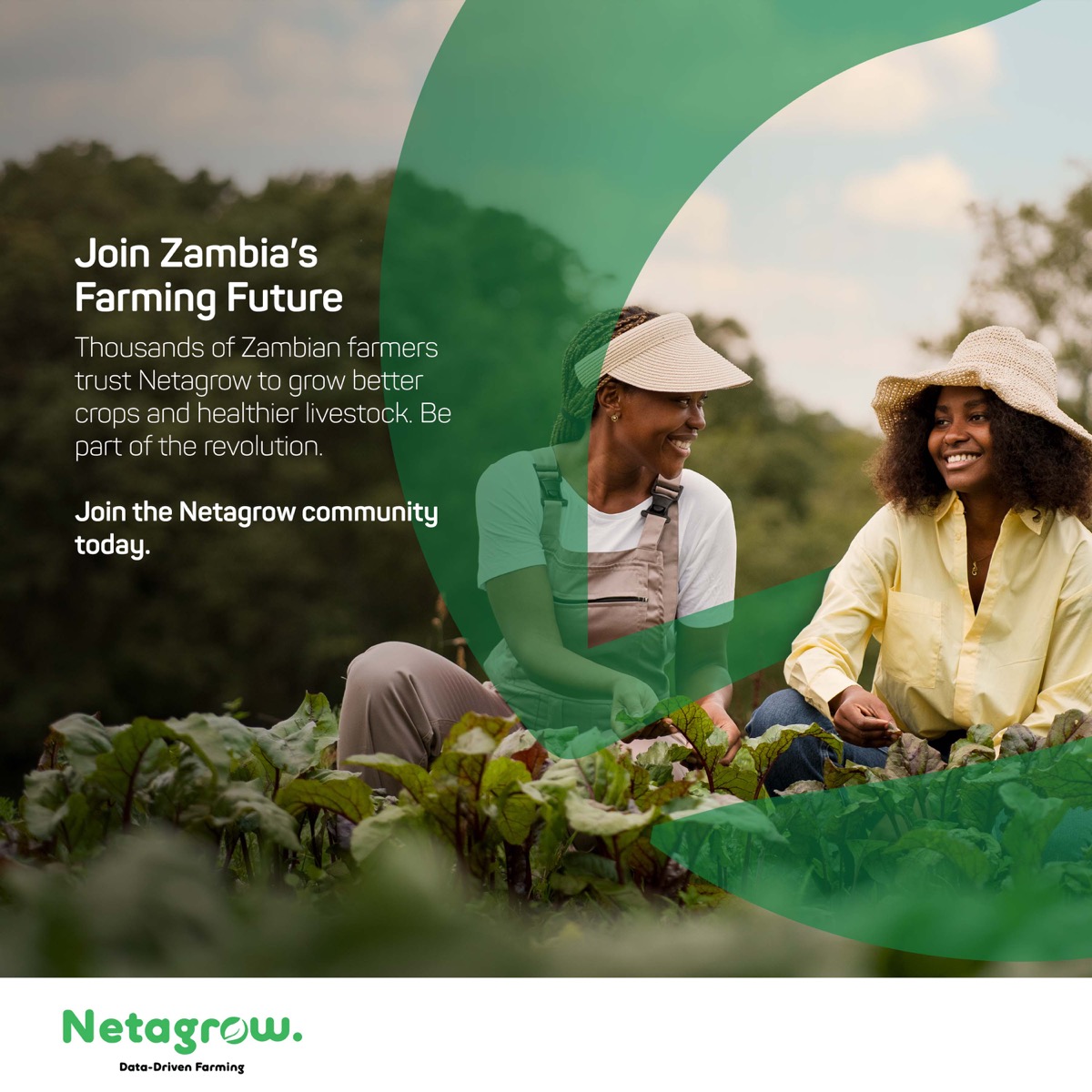 Join Zambia's Farming Revolution