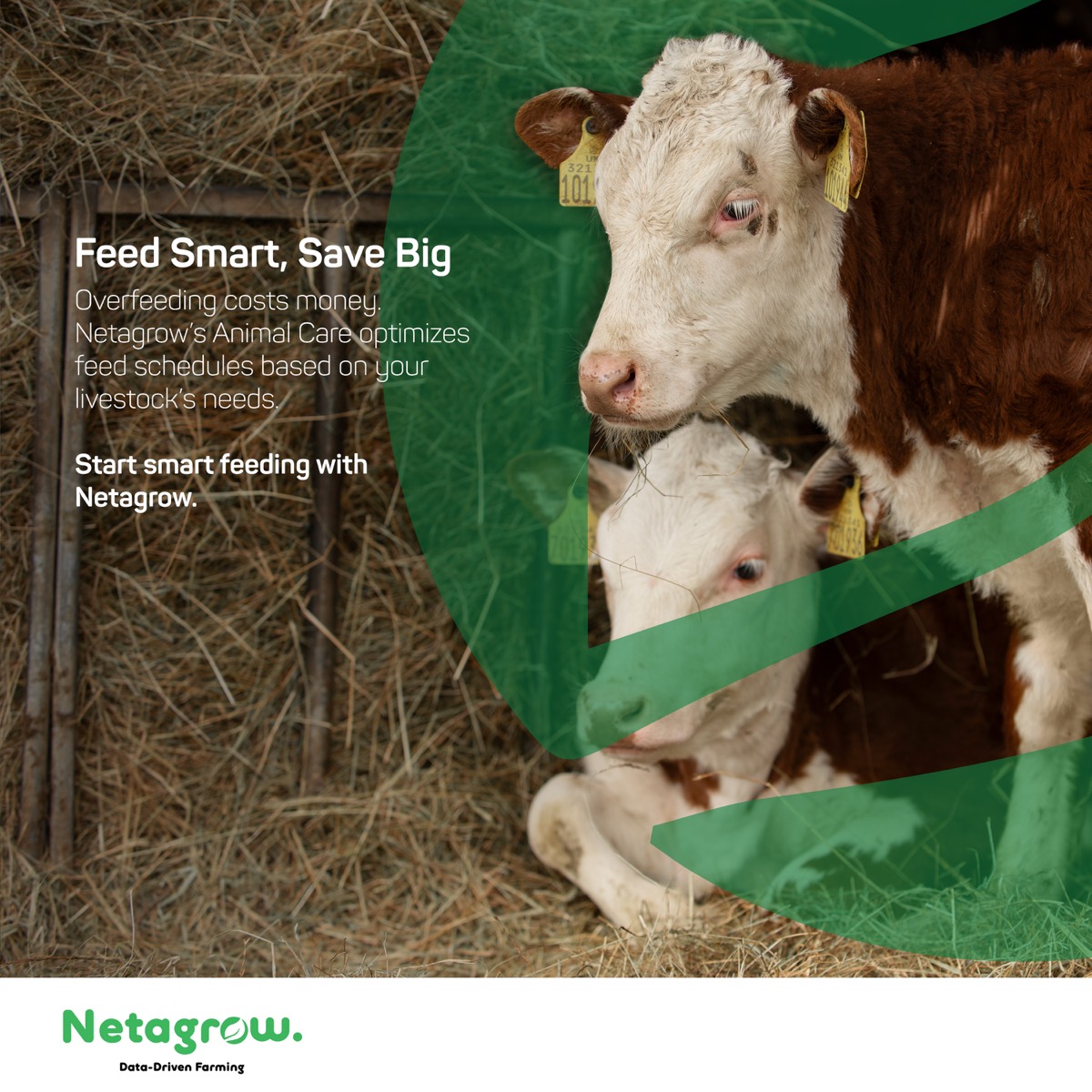 Healthier Livestock — Dec 4