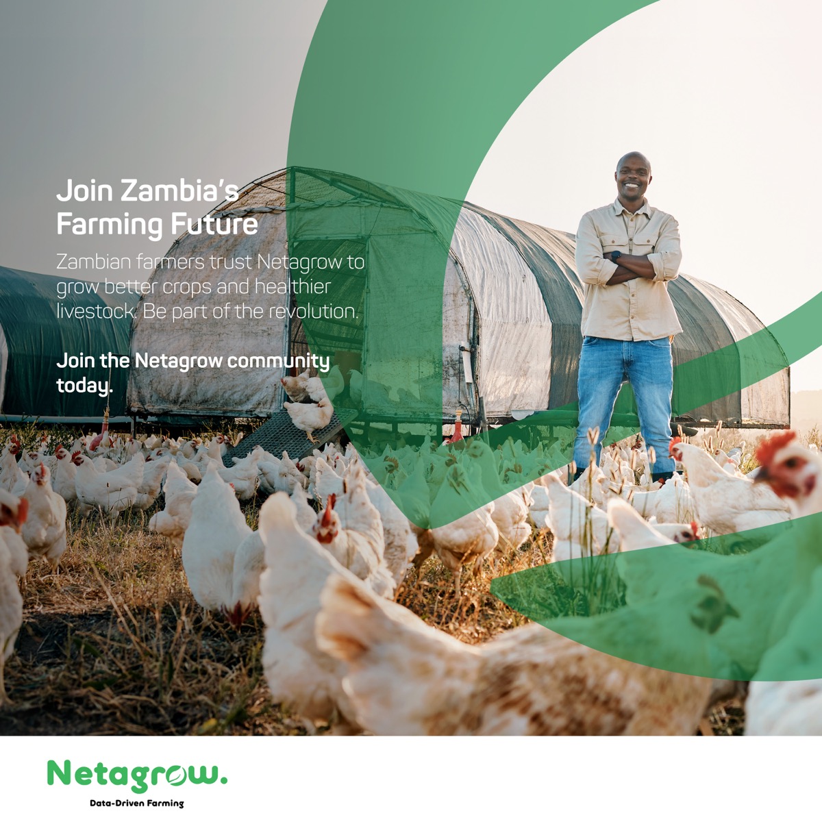 Healthier Livestock — Dec 15