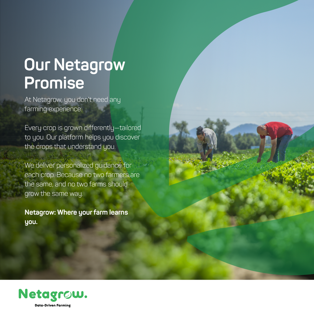 Our Netagrow Promise