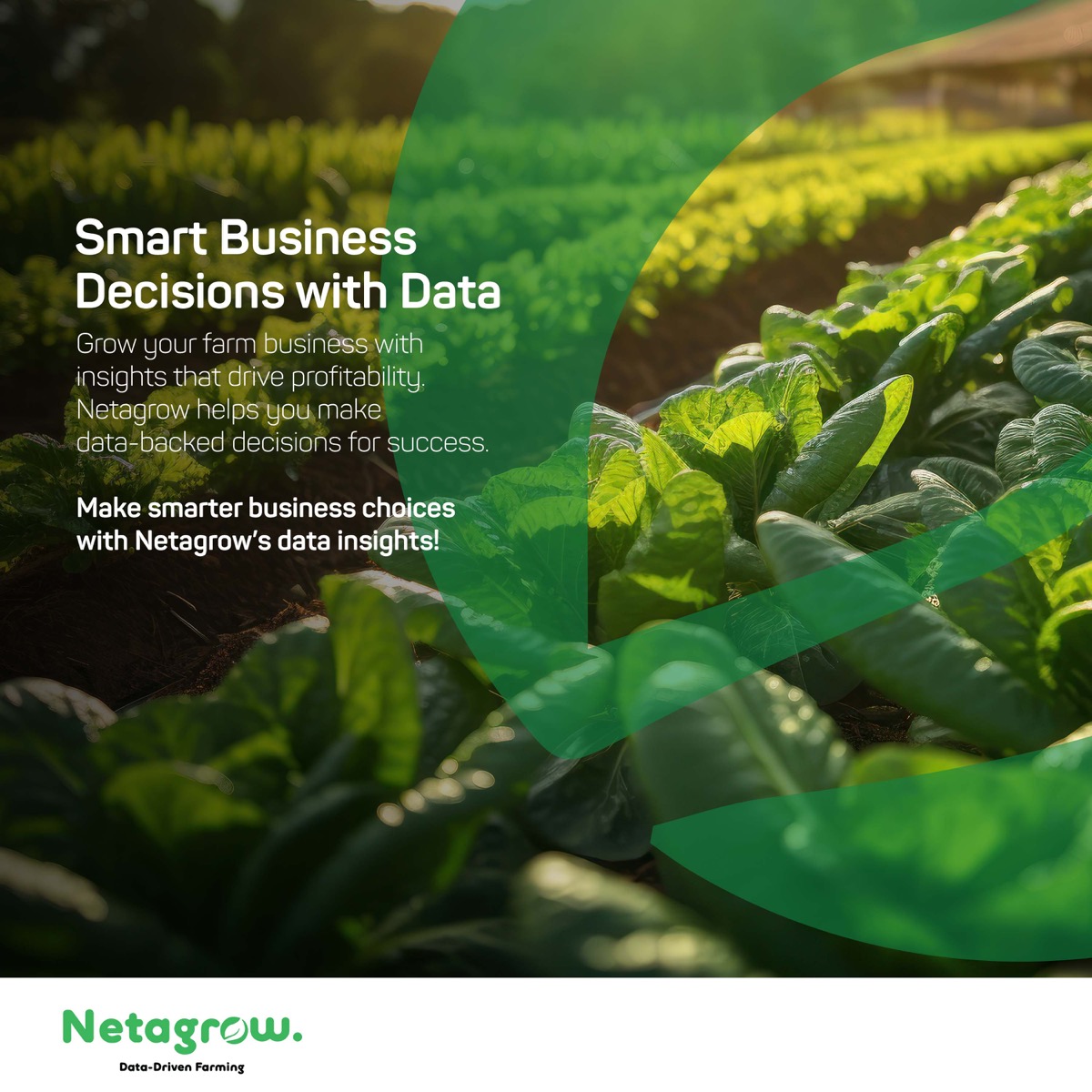 Smart Business Decisions with Data