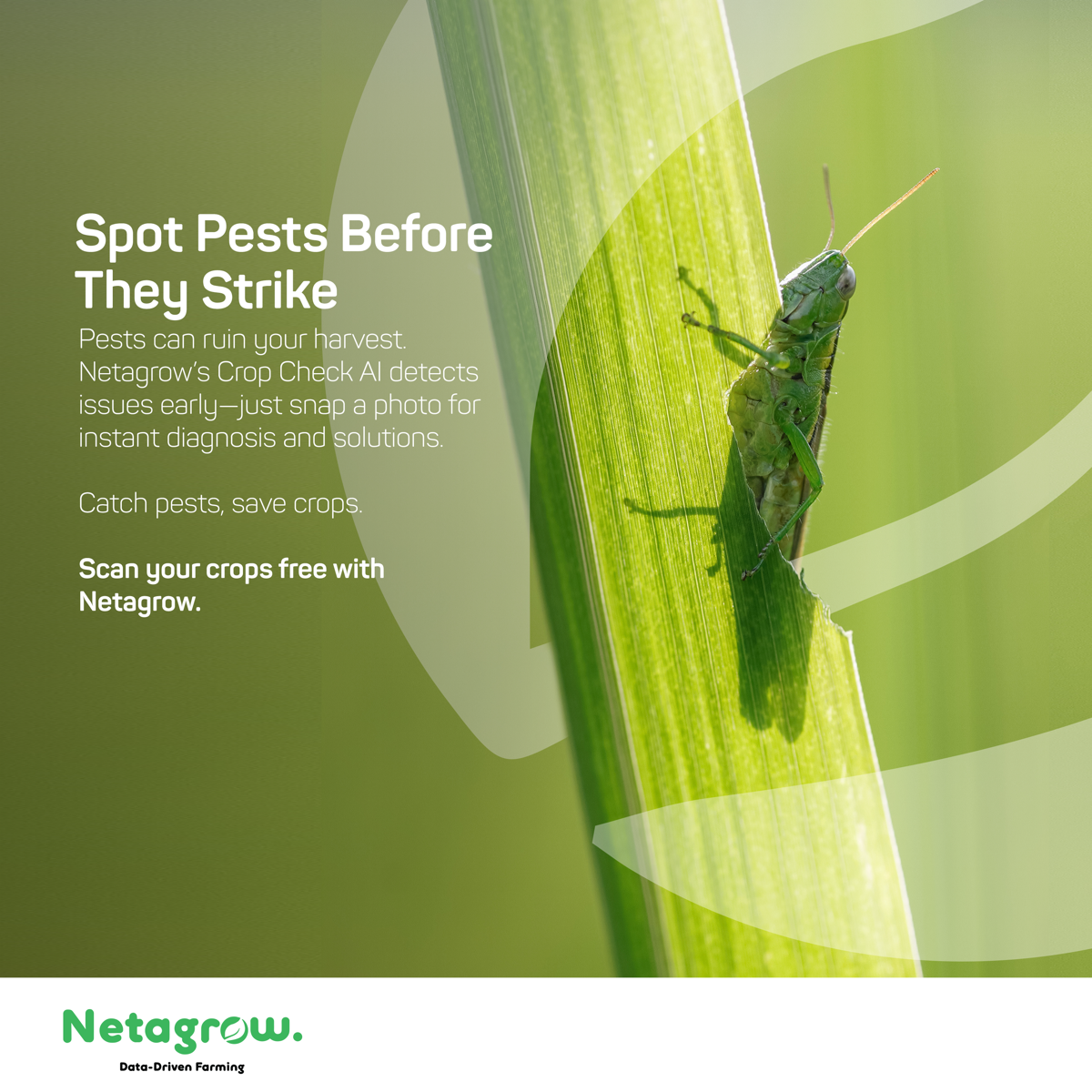 Spot Pests Before They Strike